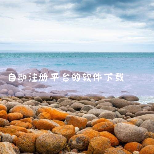 首先，软件的网上认证注册方式得到了全面革新，用户无需绑定特定的机器，只需拥有网上银行（覆盖大部分银行），便可在网络上全程自助式注册软件，不再需要等待注册码，自动升级为VIP会员，操作简单快捷。其次，软,