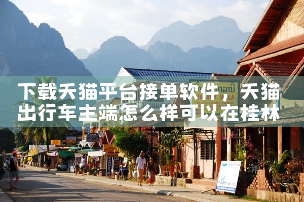 下载天猫平台接单软件