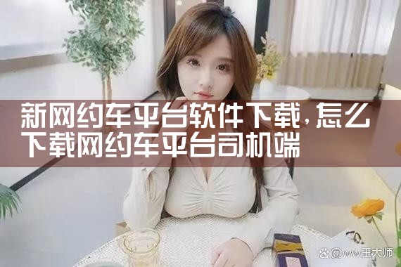 新网约车平台软件下载