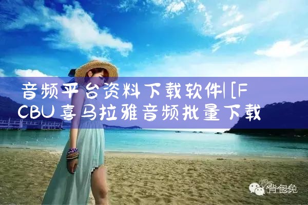 音频平台资料下载软件