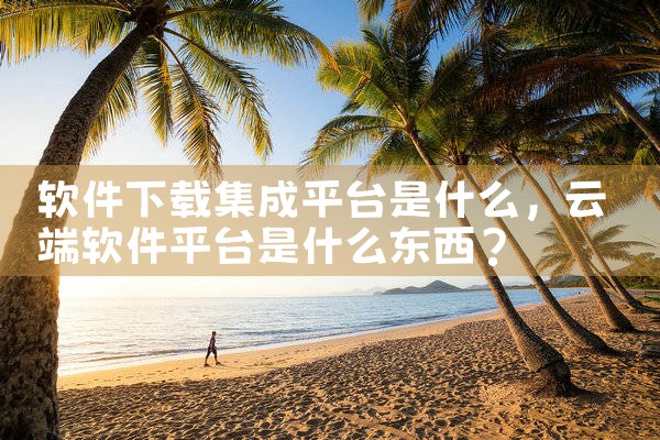 软件下载集成平台是什么