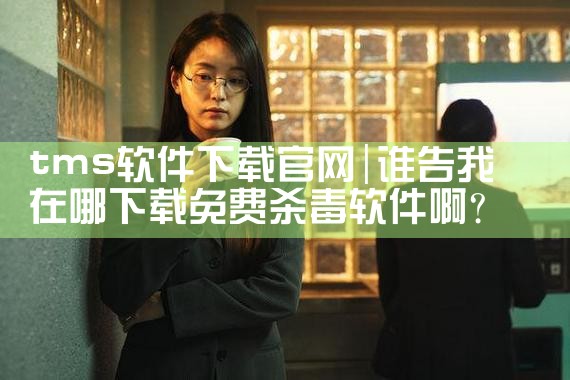 tms软件下载官网