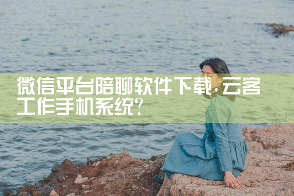 微信平台陪聊软件下载