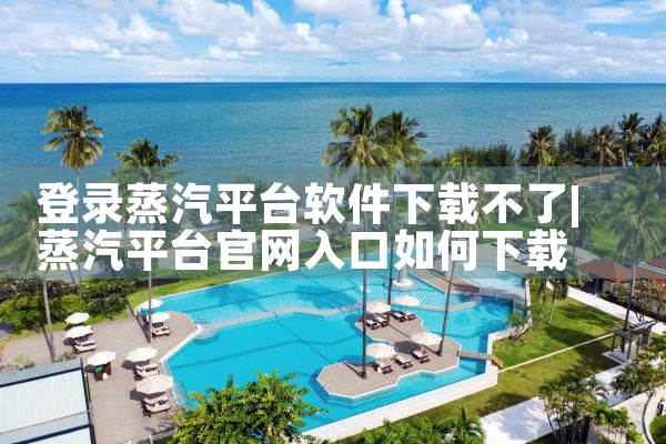 登录蒸汽平台软件下载不了