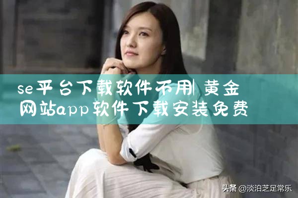 se平台下载软件不用