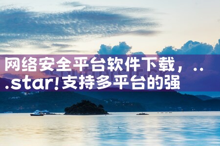 网络安全平台软件下载