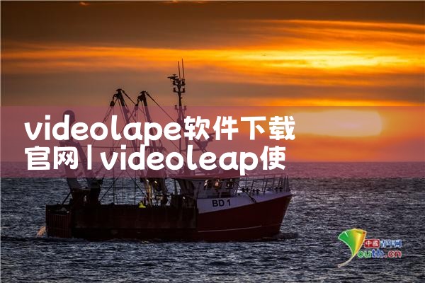 videolape软件下载官网