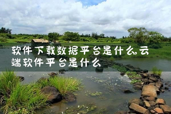 软件下载数据平台是什么