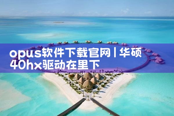 opus软件下载官网